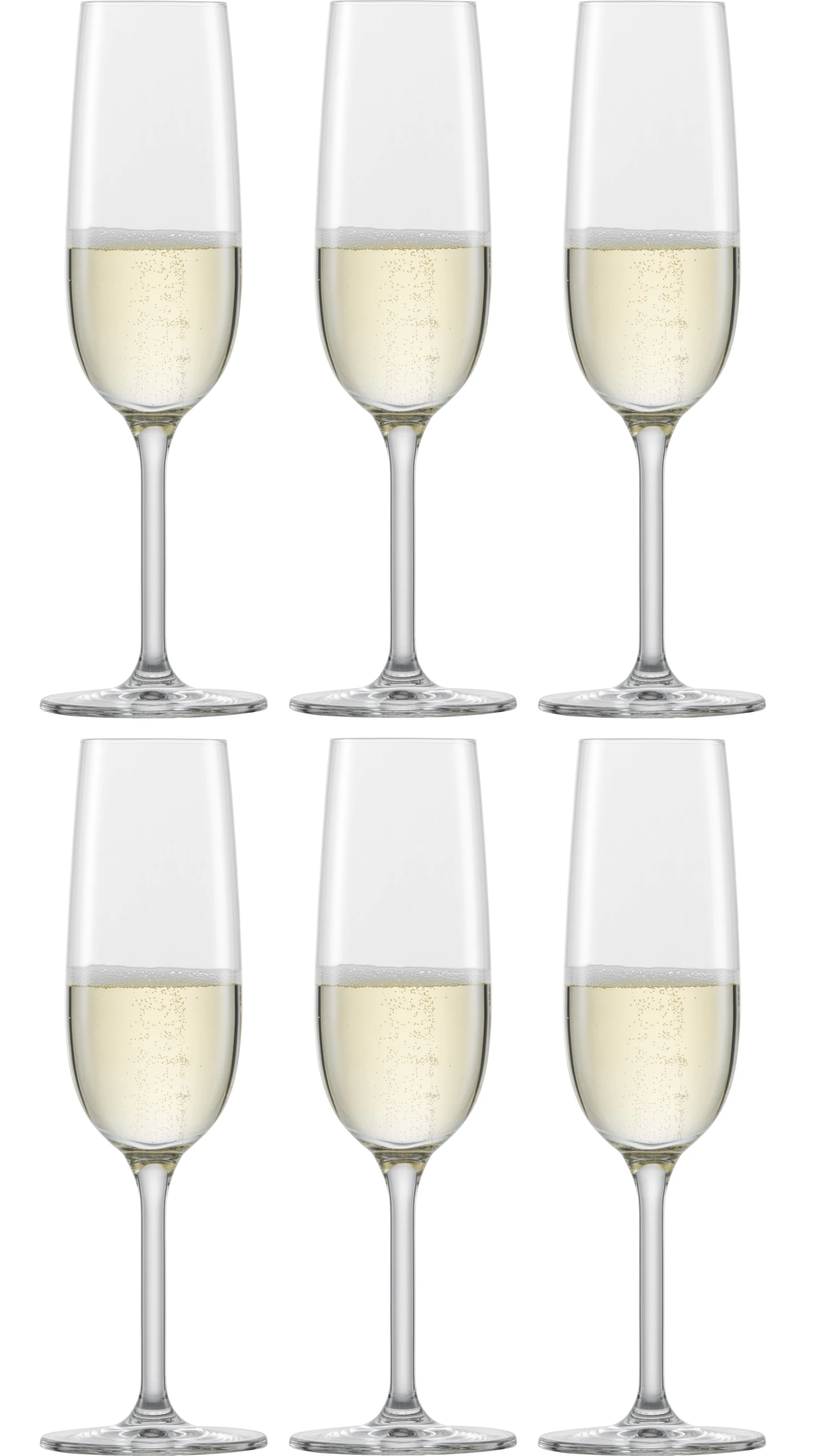 Schott Zwiesel Champagneglazen Banquet - 210 ml - 6 stuks Schott Zwiesel Champagneglazen Banquet - 210 Ml - 6 Stuks -Praktische Winkel Voor Keukenbenodigdheden 4001836109314 1 1