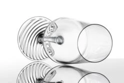 Zwiesel Glas Champagneglazen Echo - 395 Ml - 4 Stuks 6 Zwiesel Glas Champagneglazen Echo - 395 Ml - 4 Stuks -Praktische Winkel Voor Keukenbenodigdheden 4001836117838 2