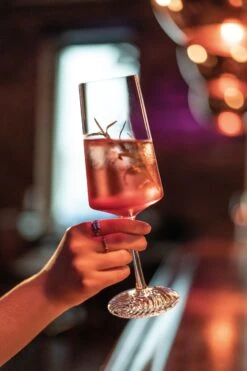 Zwiesel Glas Champagneglazen Echo - 395 Ml - 4 Stuks 5 Zwiesel Glas Champagneglazen Echo - 395 Ml - 4 Stuks -Praktische Winkel Voor Keukenbenodigdheden 4001836117838 4