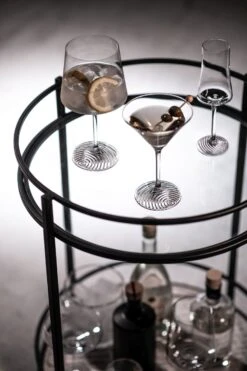 Zwiesel Glas Martiniglazen Echo - 166 Ml - 4 Stuks -Praktische Winkel Voor Keukenbenodigdheden 4001836117845 4