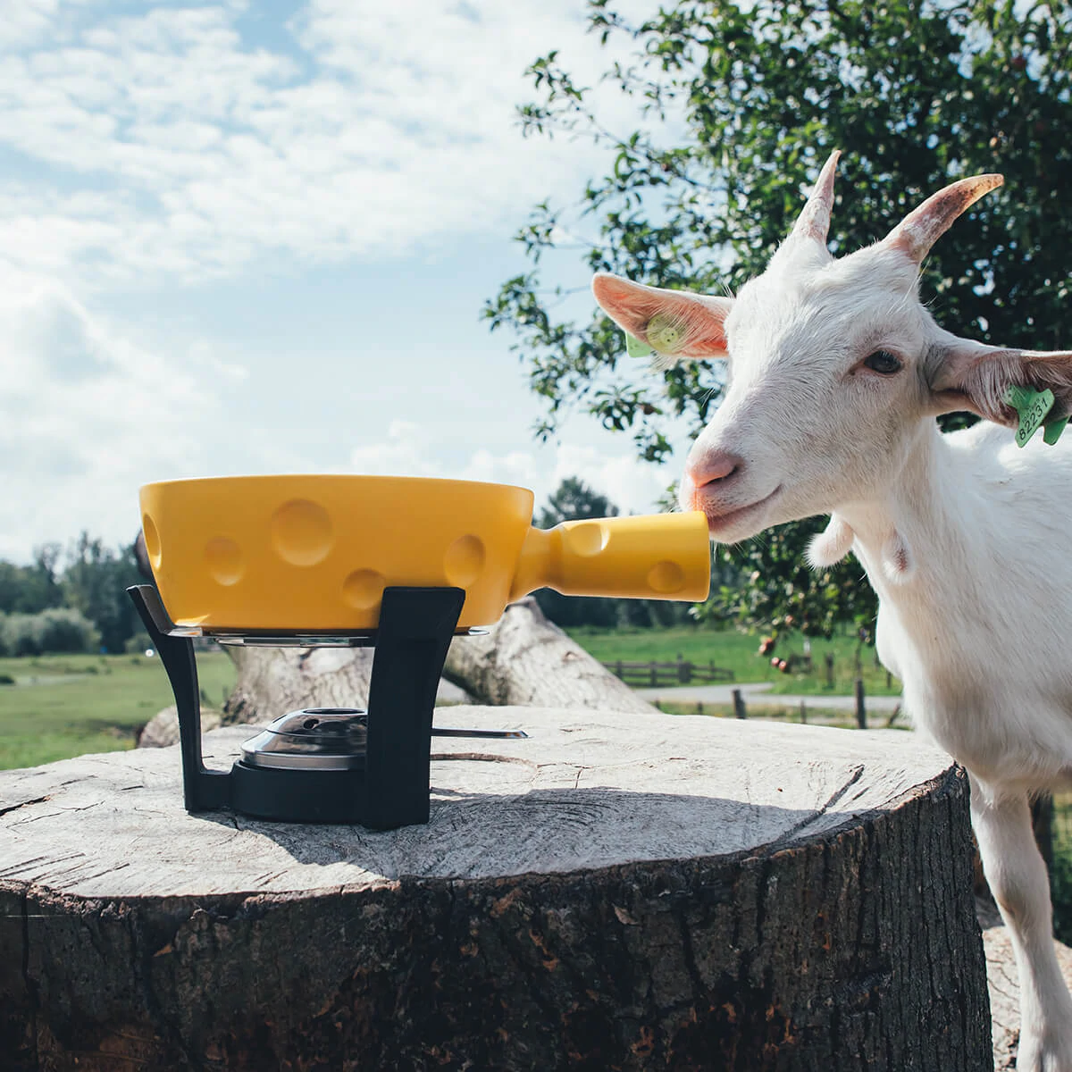 Boska Fondueset Cheesy - 6 personen - geel/zwart - 1.3 liter Boska Fondueset Cheesy - 6 Personen - Geel/zwart - 1.3 Liter -Praktische Winkel Voor Keukenbenodigdheden 853512