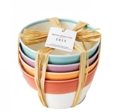 Royal Doulton Kommen 1815 Bright Colours ø 15 Cm - 4 Stuks -Praktische Winkel Voor Keukenbenodigdheden 9022 2