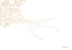 Kookboek - Plenty More 5 Kookboek - Plenty More -Praktische Winkel Voor Keukenbenodigdheden 9789059565388 03