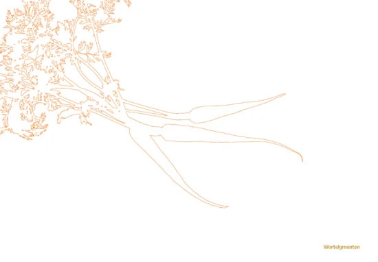 Kookboek - Plenty More Kookboek - Plenty More -Praktische Winkel Voor Keukenbenodigdheden 9789059565388 03