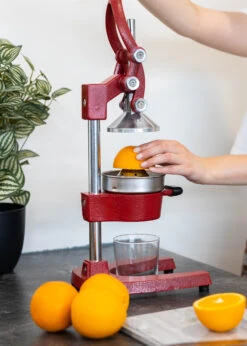Sareva Citruspers - Gietijzer - Hevelmodel - Rood -Praktische Winkel Voor Keukenbenodigdheden Citruspers 5 1