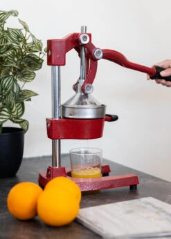 Sareva Citruspers - Gietijzer - Hevelmodel - Rood -Praktische Winkel Voor Keukenbenodigdheden Citruspers 7