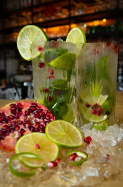 Cookinglife Longdrinkglazen Moray - 350 Ml - 4 Stuks -Praktische Winkel Voor Keukenbenodigdheden Cocktail 2