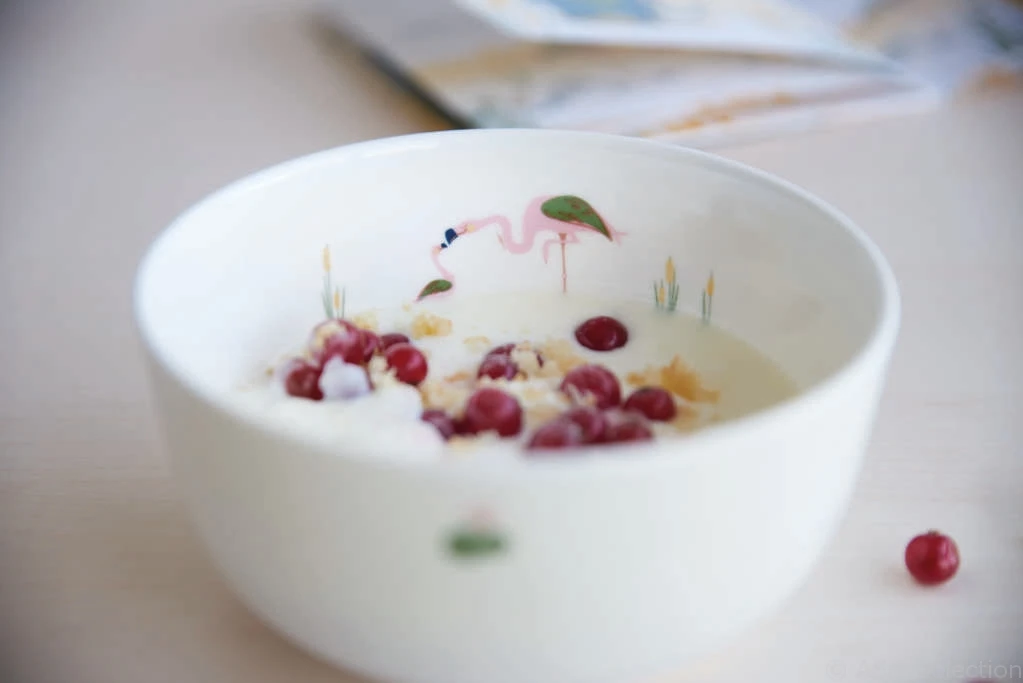 ASA Selection Kinderservies Kids Fiona Flamingo 5-delig ASA Selection Kinderservies Kids Fiona Flamingo 5-delig -Praktische Winkel Voor Keukenbenodigdheden Kindergeschirr kids schale flamingo