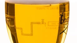 Brugse Zot Bierglas - 330 Ml 5 Brugse Zot Bierglas - 330 Ml -Praktische Winkel Voor Keukenbenodigdheden Merkbier gevuld 8