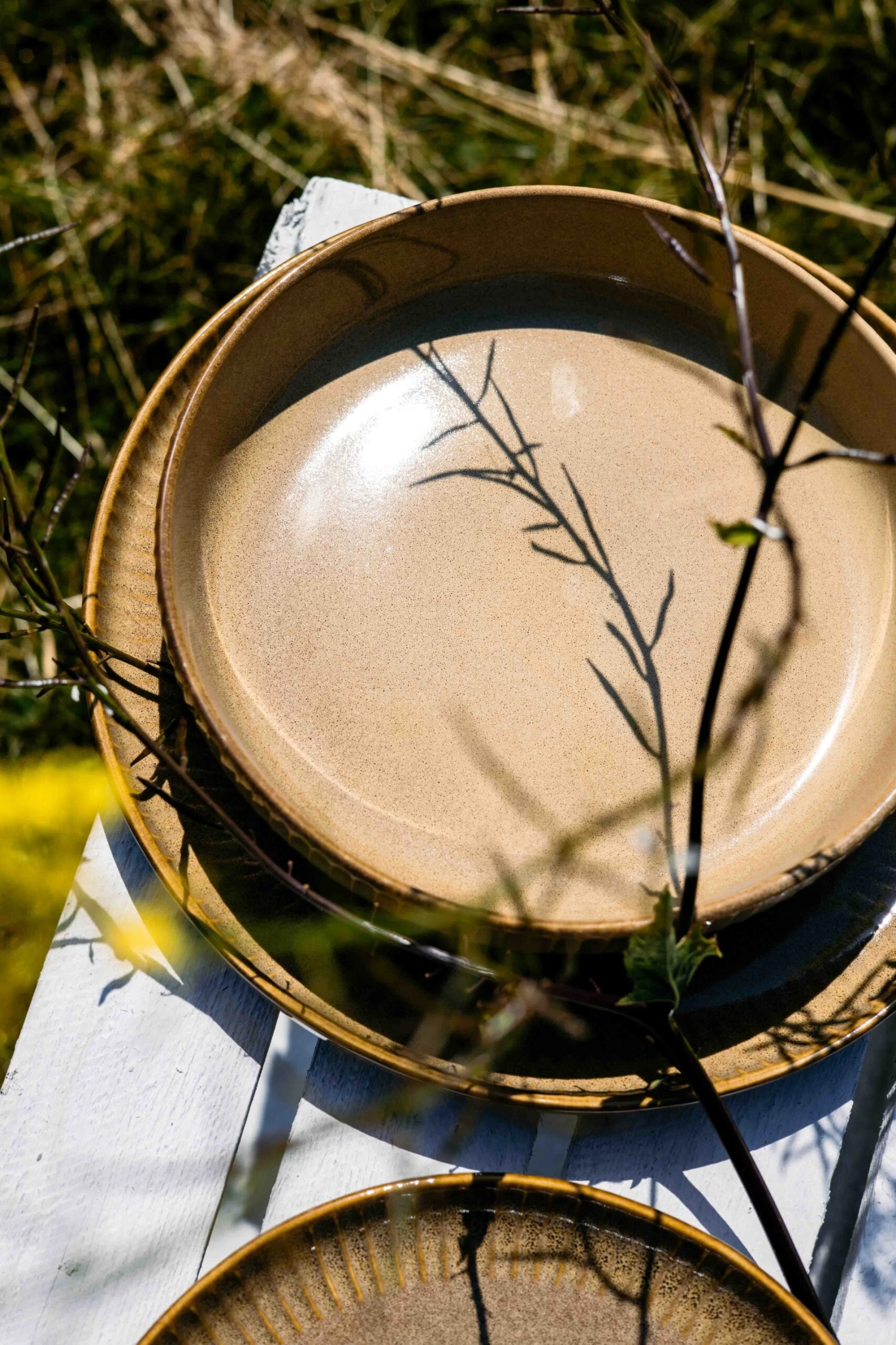 Jay Hill Ontbijtborden Silhouette ø 21 cm - 4 stuks Jay Hill Ontbijtborden Silhouette ø 21 Cm - 4 Stuks -Praktische Winkel Voor Keukenbenodigdheden Resize Silhoutte Geel 1 2 scaled