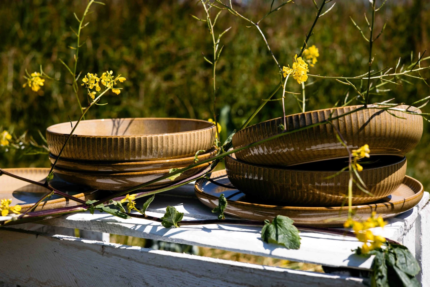 Jay Hill Dinerborden Silhouette ø 27 cm - 4 stuks Jay Hill Dinerborden Silhouette ø 27 Cm - 4 Stuks -Praktische Winkel Voor Keukenbenodigdheden Resize Silhoutte Geel 2 1 scaled