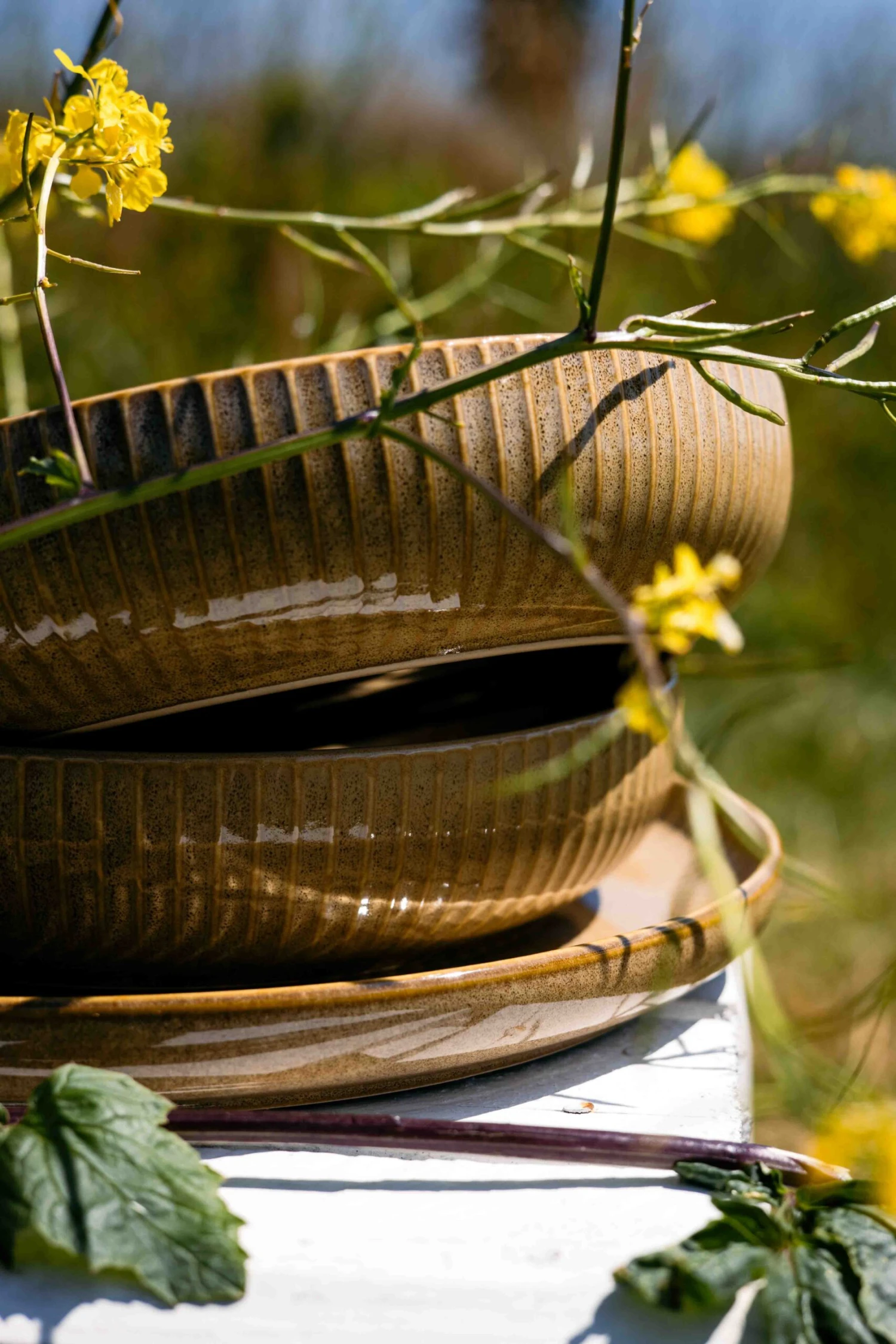 Jay Hill Ontbijtborden Silhouette ø 21 cm - 4 stuks Jay Hill Ontbijtborden Silhouette ø 21 Cm - 4 Stuks -Praktische Winkel Voor Keukenbenodigdheden Resize Silhoutte Geel 5 scaled