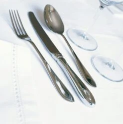 Keltum Puntfilet Tafelvork -Praktische Winkel Voor Keukenbenodigdheden aPuntfilet03 CE 3