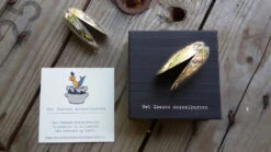 Anovi Mosselbestek 2-delig 8 Anovi Mosselbestek 2-delig -Praktische Winkel Voor Keukenbenodigdheden anovi mosselbestek