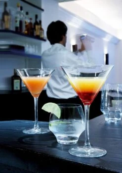 Chef & Sommelier Cocktailglazen Cabernet - 210 Ml - 6 Stuks 4 Chef & Sommelier Cocktailglazen Cabernet - 210 Ml - 6 Stuks -Praktische Winkel Voor Keukenbenodigdheden chef sommelier cocktail