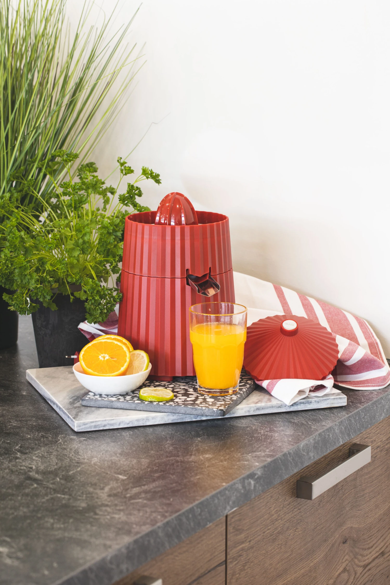 Alessi Citruspers Plissé - elektrisch - Rood - Michele de Lucchi - MDL07 R Alessi Citruspers Plissé - Elektrisch - Rood - Michele De Lucchi - MDL07 R -Praktische Winkel Voor Keukenbenodigdheden citruspers 2 scaled