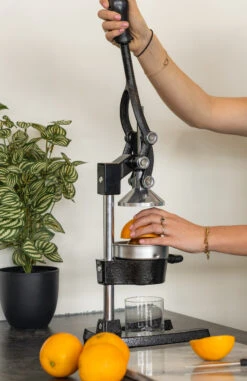 Sareva Citruspers - Gietijzer - Hevelmodel - Zwart -Praktische Winkel Voor Keukenbenodigdheden citruspers 3 1