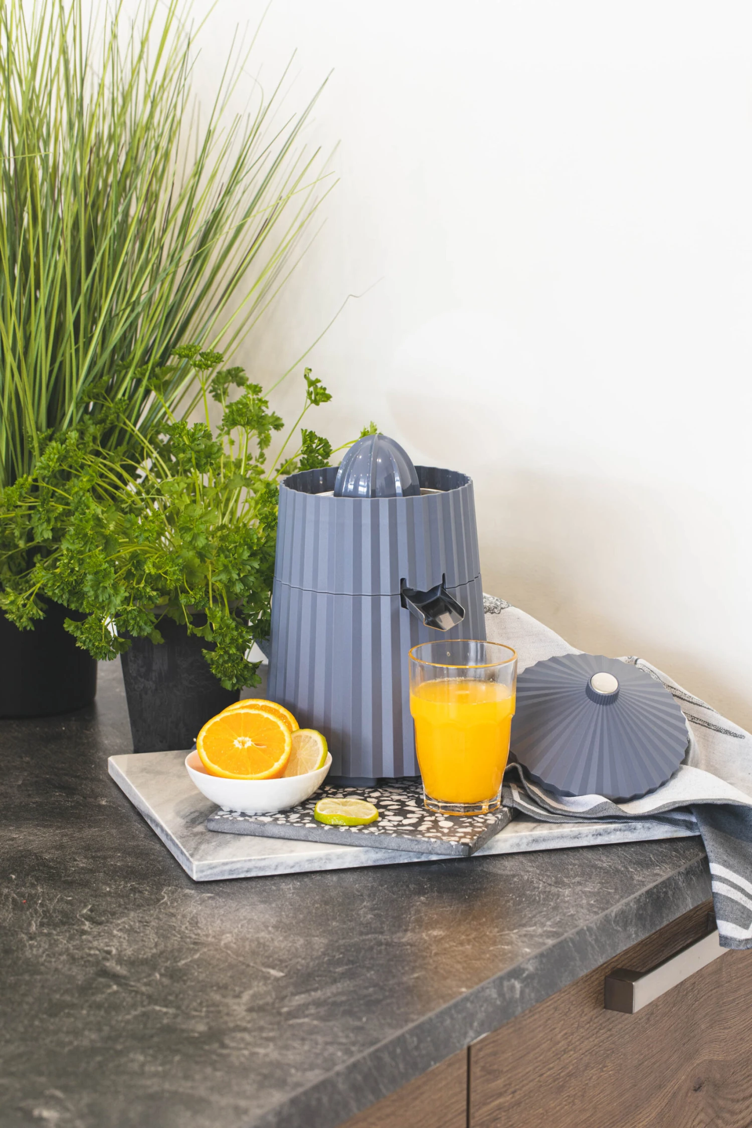 Alessi Citruspers Plissé - elektrisch - Grijs - Michele de Lucchi - MDL07 G Alessi Citruspers Plissé - Elektrisch - Grijs - Michele De Lucchi - MDL07 G -Praktische Winkel Voor Keukenbenodigdheden citruspers 4 1 scaled