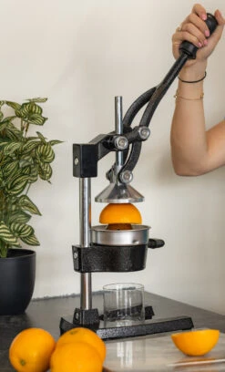 Sareva Citruspers - Gietijzer - Hevelmodel - Zwart -Praktische Winkel Voor Keukenbenodigdheden citruspers 4 1