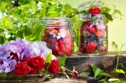 Bormioli Rocco Weckpot Fido 11 X 11 Cm / 1.5 Liter 5 Bormioli Rocco Weckpot Fido 11 X 11 Cm / 1.5 Liter -Praktische Winkel Voor Keukenbenodigdheden e000316 3