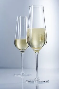 Schott Zwiesel Champagneglazen Fortissimo - 240 Ml - 6 Stuks 4 Schott Zwiesel Champagneglazen Fortissimo - 240 Ml - 6 Stuks -Praktische Winkel Voor Keukenbenodigdheden for20cham