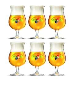 La Chouffe Bierglazen - 250 Ml - 6 Stuks