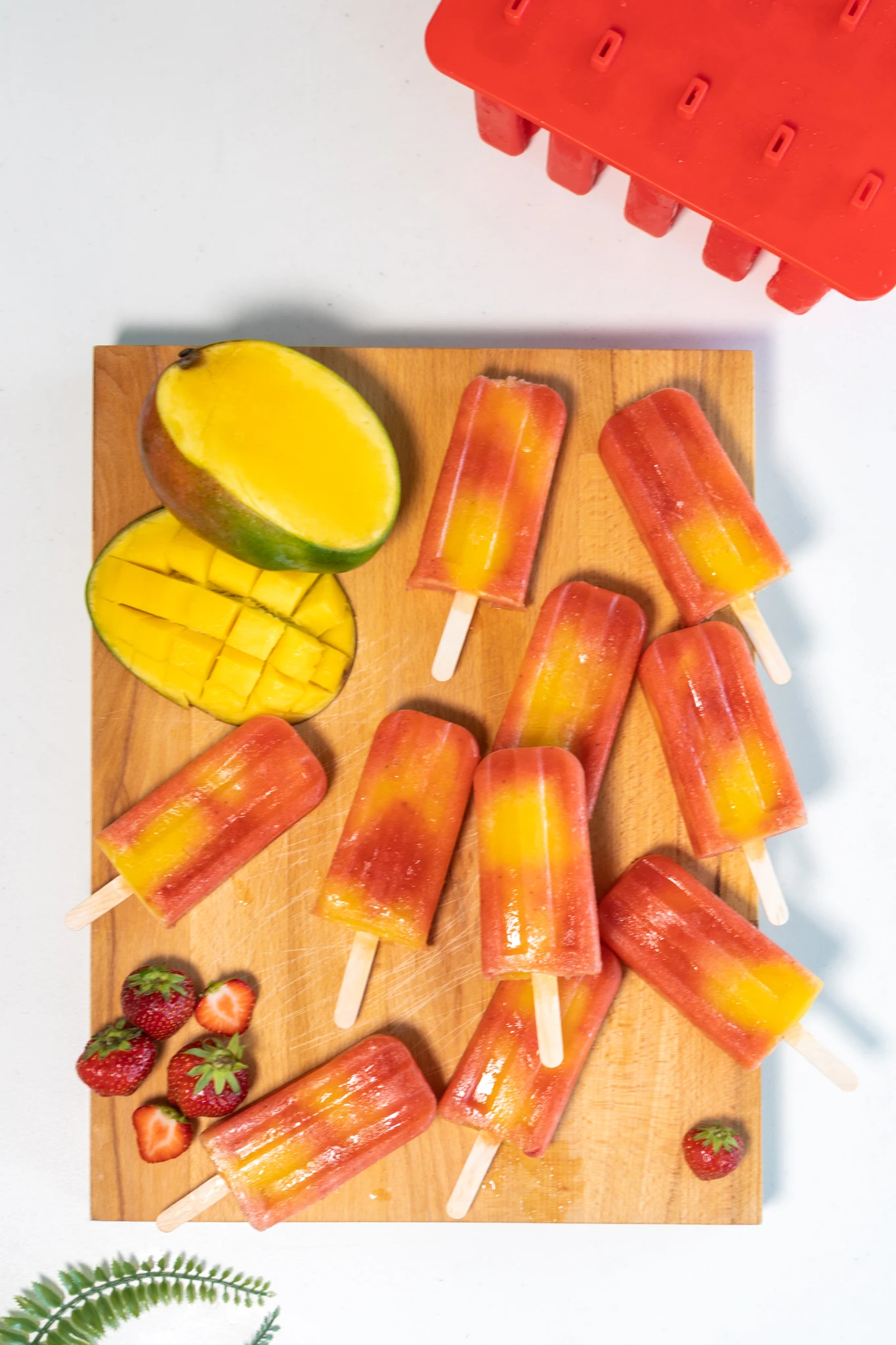 Sareva IJsjesmaker - 10 ijsjes - Rood - Siliconen - Easy Release - Herbruikbaar Sareva IJsjesmaker - 10 Ijsjes - Rood - Siliconen - Easy Release - Herbruikbaar -Praktische Winkel Voor Keukenbenodigdheden sareva ijsjesmaker 1