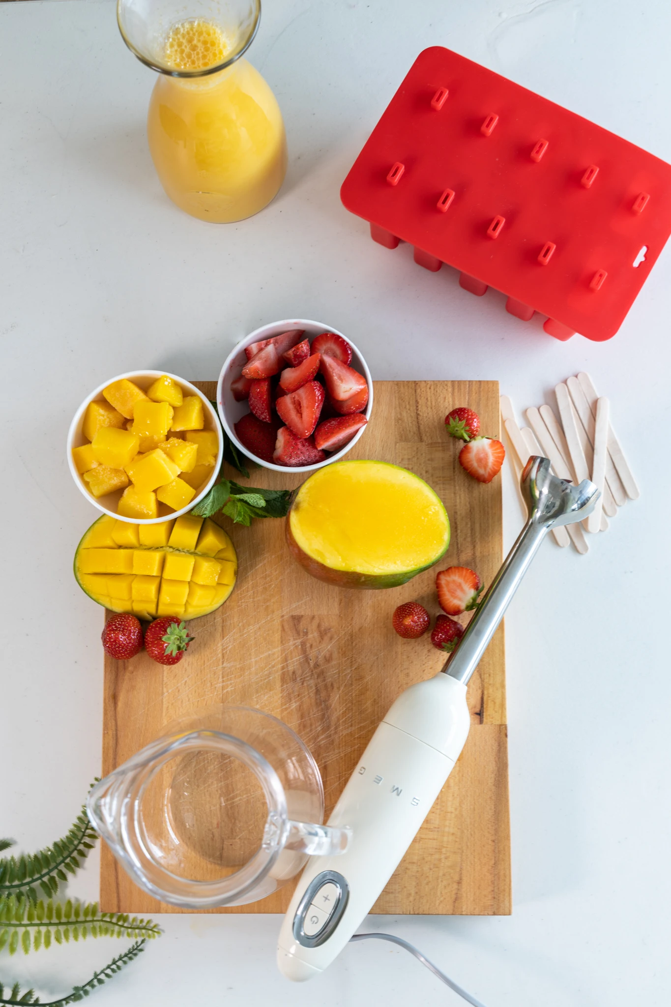 Sareva IJsjesmaker - 10 ijsjes - Rood - Siliconen - Easy Release - Herbruikbaar Sareva IJsjesmaker - 10 Ijsjes - Rood - Siliconen - Easy Release - Herbruikbaar -Praktische Winkel Voor Keukenbenodigdheden sareva ijsjesvorm