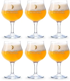 Straffe Hendrik Bierglas - 330 Ml - 6 Stuks